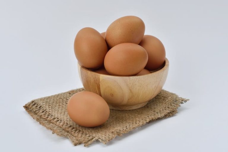 why-do-eggs-hurt-my-stomach-raleigh-public-records